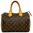 Louis Vuitton Speedy 25