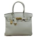 Hermes Birkin 30 Greeneve Handbag - Hermès