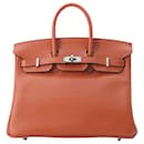 Hermès Birkin 25