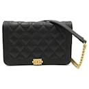 Chanel Boy Chanel Chain Wallet Shoulder Bag