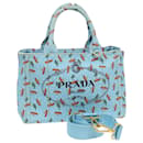 PRADA Canapa PM Hand Bag Canvas 2way Blue Auth ar12143 - Prada