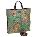 Bolsa tote em canvas GG Bengal Tiger da GUCCI PVC 2 em 1 bege verde amarelo Auth ar12133A - Gucci