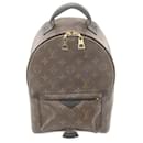 Louis Vuitton Palm Springs Backpack PM