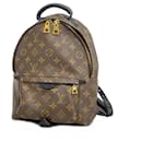 Zaino Palm Springs PM Monogramma Louis Vuitton