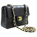 CHANEL Timeless Shoulder Bag - Chanel