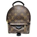 Louis Vuitton Palm Springs Backpack MINI