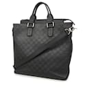 Louis Vuitton Damier Infini Daily Tote