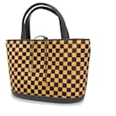 Louis Vuitton Damier Sauvage Handbag