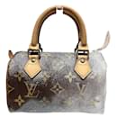 Louis Vuitton Monogram Mini Speedy Handbag 