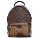 Brauner Louis Vuitton Monogram Reverse Palm Springs PM Rucksack