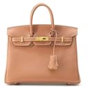 Hermes Birkin 25 Verso Handbag - Hermès