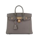 Bolsa Hermes Birkin 25 em Togo Etain - Hermès