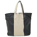 Bottega Veneta Tote