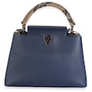 Louis Vuitton Python Navy Taurillon Capucines PM