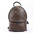 Mochila Palm Springs PM Monograma Louis Vuitton M41560