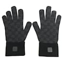 Louis Vuitton Neo Petit Damier Gloves