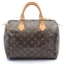 Borsa Louis Vuitton Speedy 30