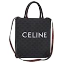 CELINE Triomphe Canvas Handtasche PVC 2-Wege Schwarz Gold Auth 85281 - Céline