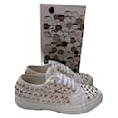 Rock - Superga
