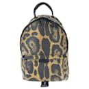Louis Vuitton Palm Springs PM Leopard Backpack