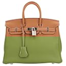 Hermès Birkin 25