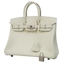 Hermès Birkin 25