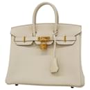 Hermes Birkin 25 Togo Handbag - Hermès
