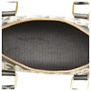 Dior Mini Trotter Canvas Leather Handbag