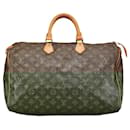 Louis Vuitton Speedy 40 Handbag