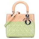 DIOR Handbags T.  Leather - Dior
