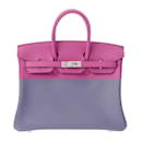 Hermes Birkin 25 Magnolia U Stamp Handbag - Hermès