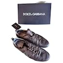 Brown DG silver clasp - Dolce & Gabbana