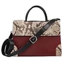 Christian Dior Diorever Medium Leather and Phyton 2Way Handbag in Burgundy