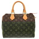 Louis Vuitton Speedy 25