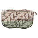 Christian Dior Dior x Cactus Jack Arm Bag