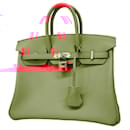 Hermès Birkin 25