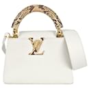 Louis Vuitton Capucines mini