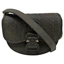 Dior Gallop