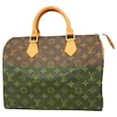 Louis Vuitton Speedy 30