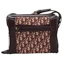 Dior Trotter