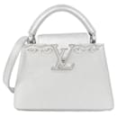 Louis Vuitton Capucines MINI Handbag