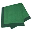 Louis Vuitton Epi Scarf Shawl