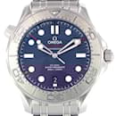 Omega Seamaster Diver 300M Wristwatch