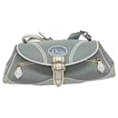 Dior Trotter