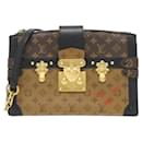 Louis Vuitton Trunk