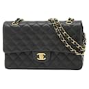 Chanel Matelasse 25 Double Chain Shoulder Bag