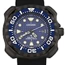 Citizen Promaster Limited Edition Solar Watch - Citizens of Humanity