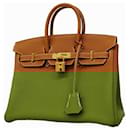Hermes Birkin 25 Handbag in Gold Togo Leather - Hermès