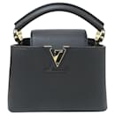 Louis Vuitton Taurillon Leather Capucines Mini Handbag