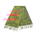 Écharpe Boucle Camayle d'Hermès